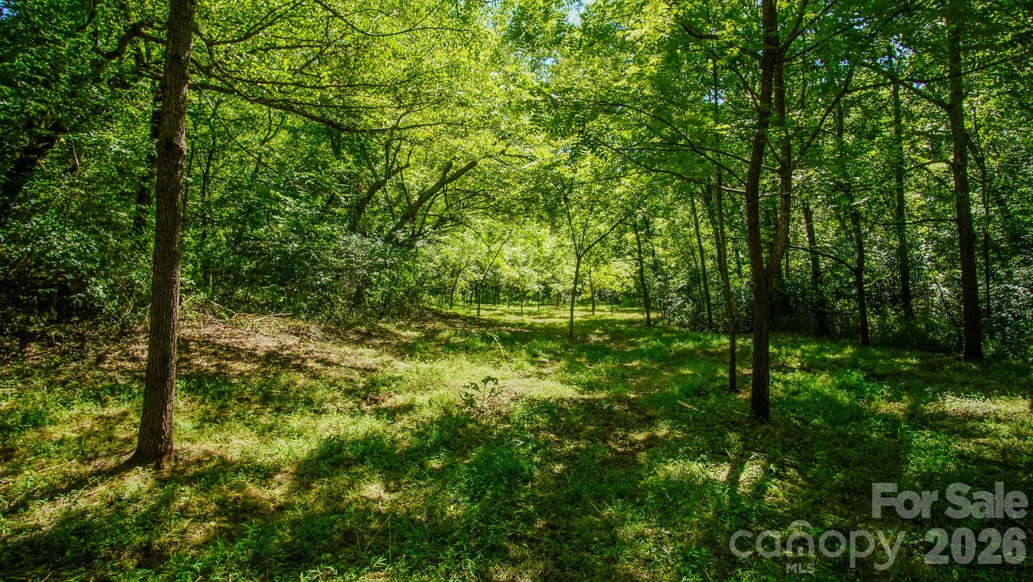 00 Ode Kerley Lane