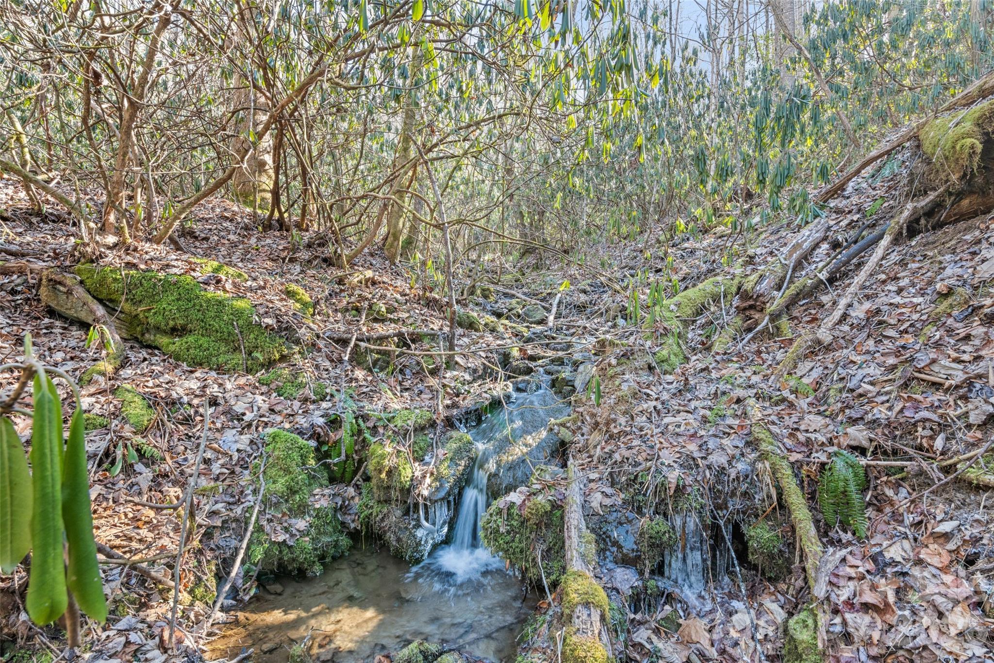 Forest Run - Residential