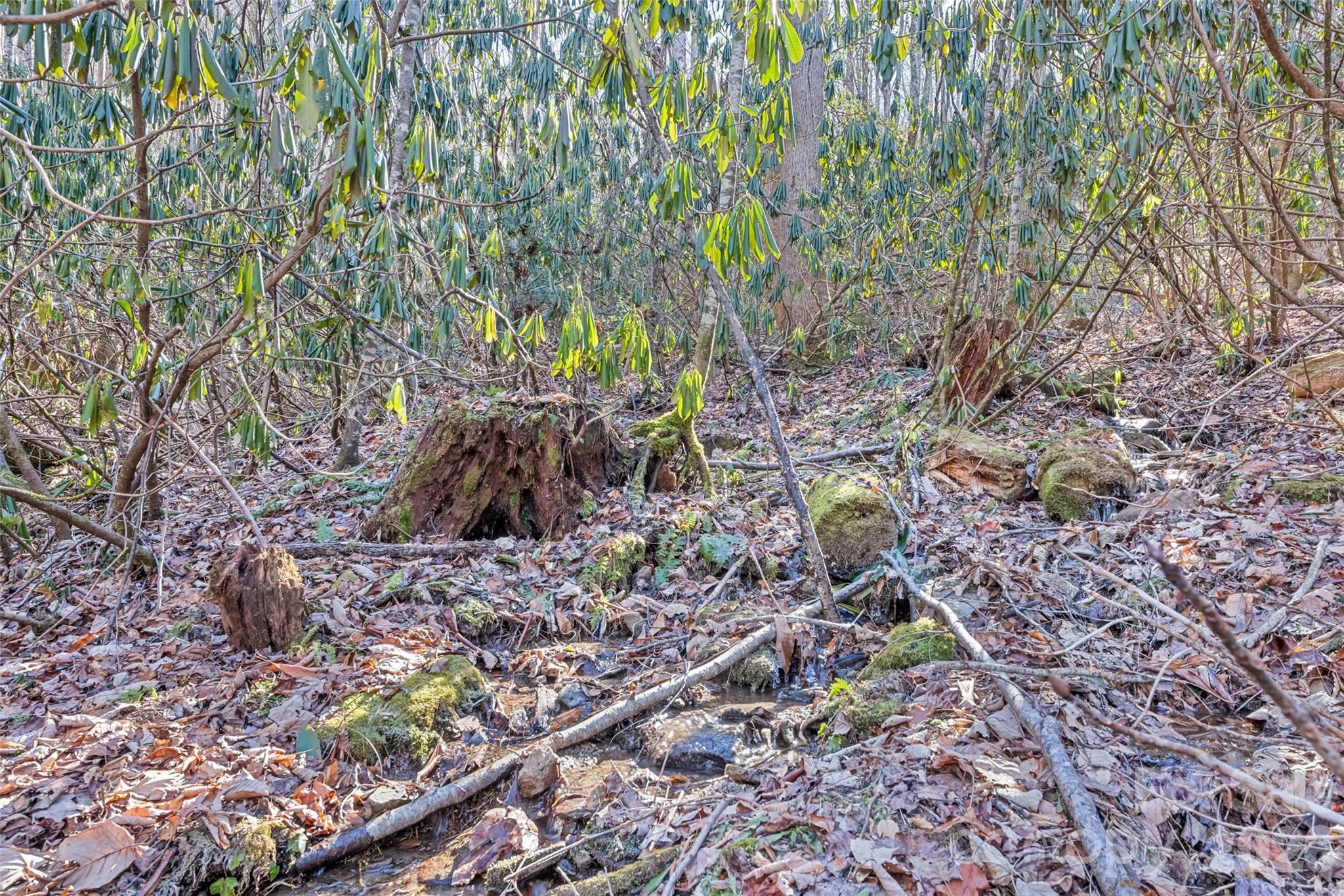 Forest Run - Residential