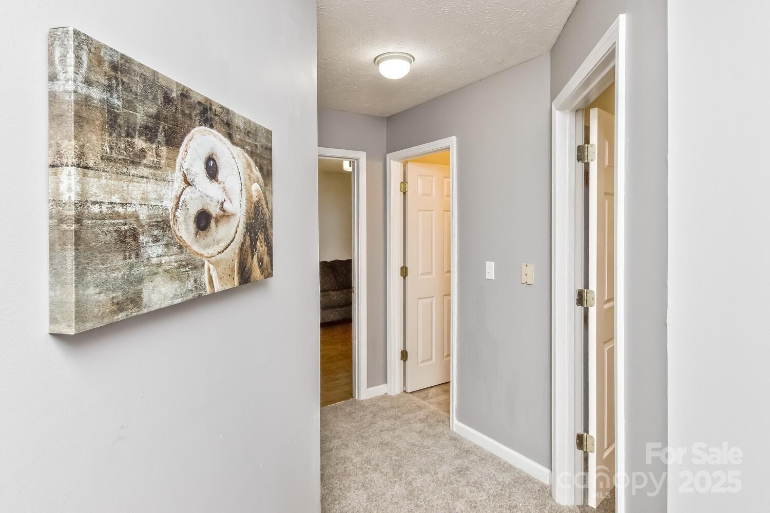 Mills Pointe - Residential