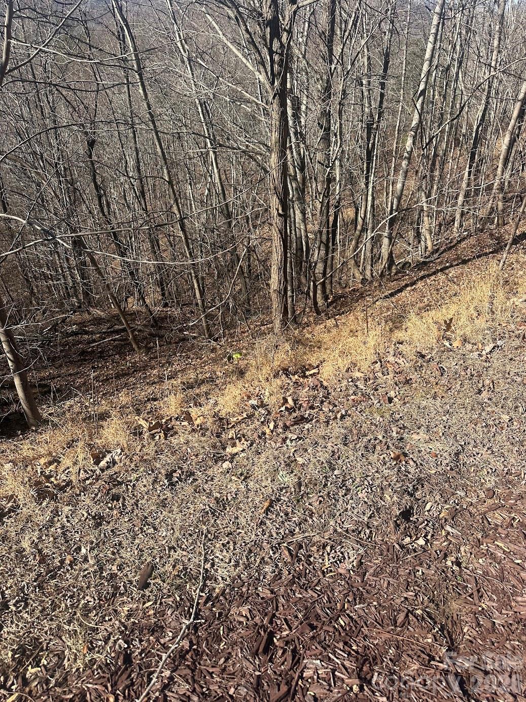 South Mountain Peaks - Land