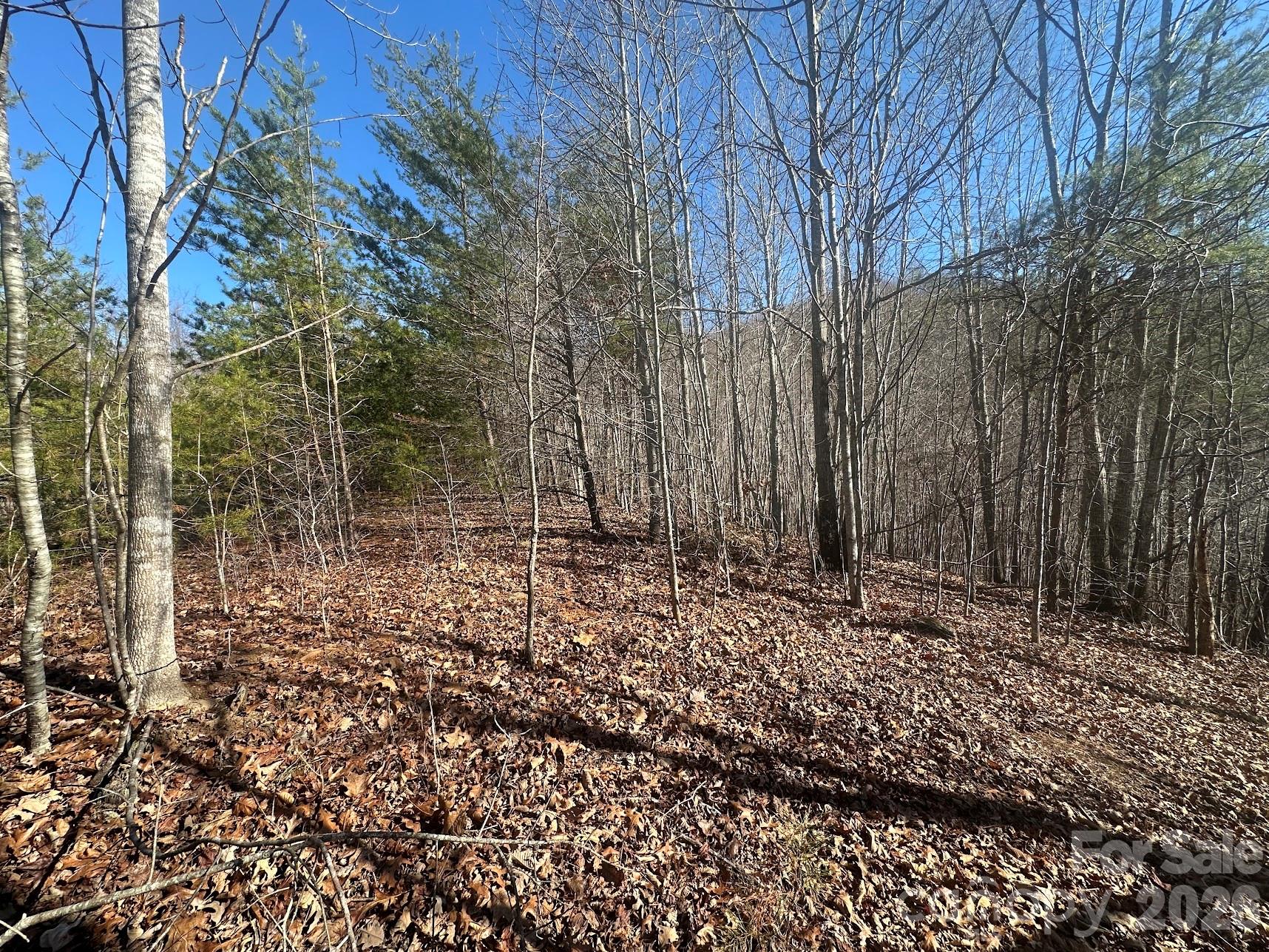 South Mountain Peaks - Land