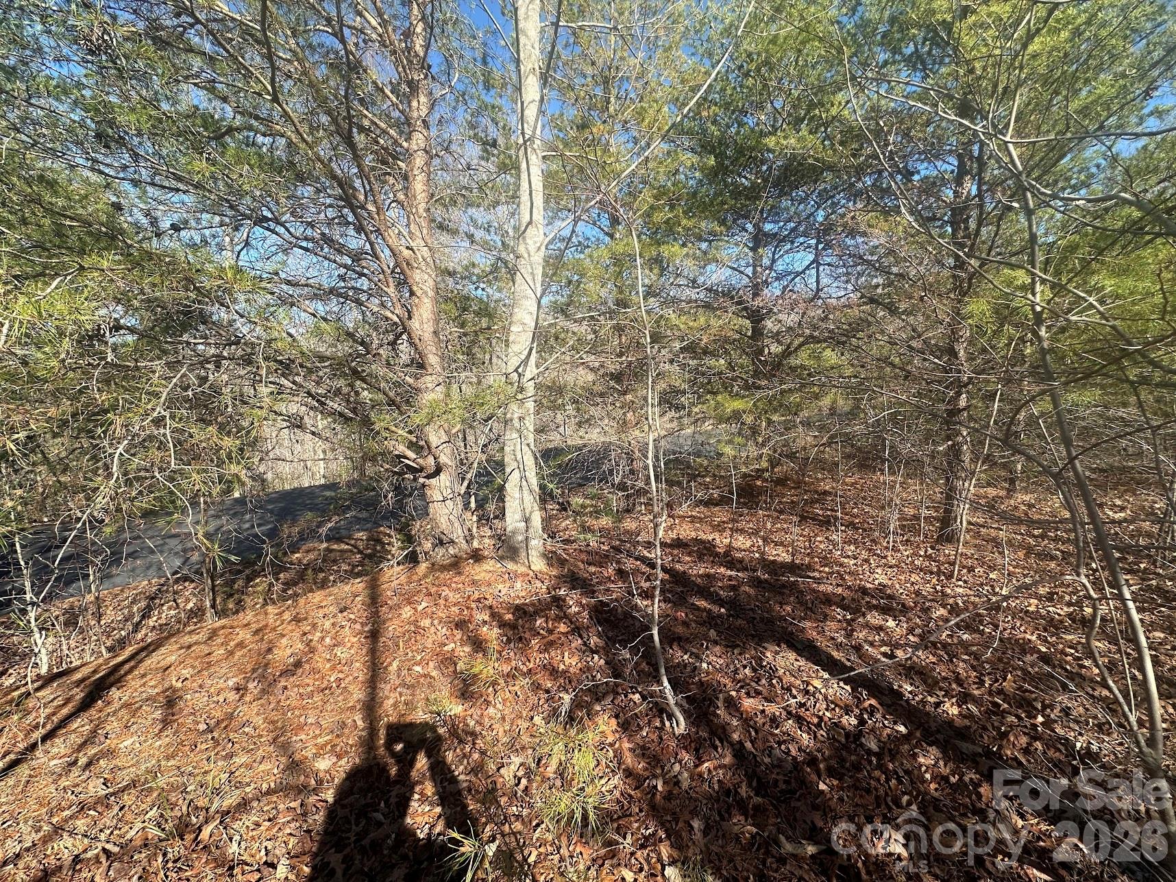 South Mountain Peaks - Land