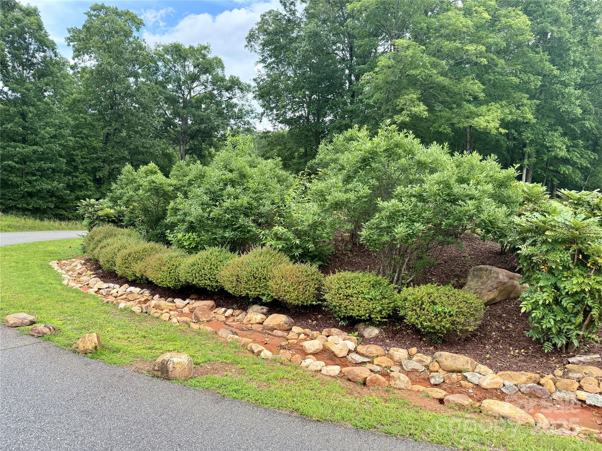 Ole Plantation - Land