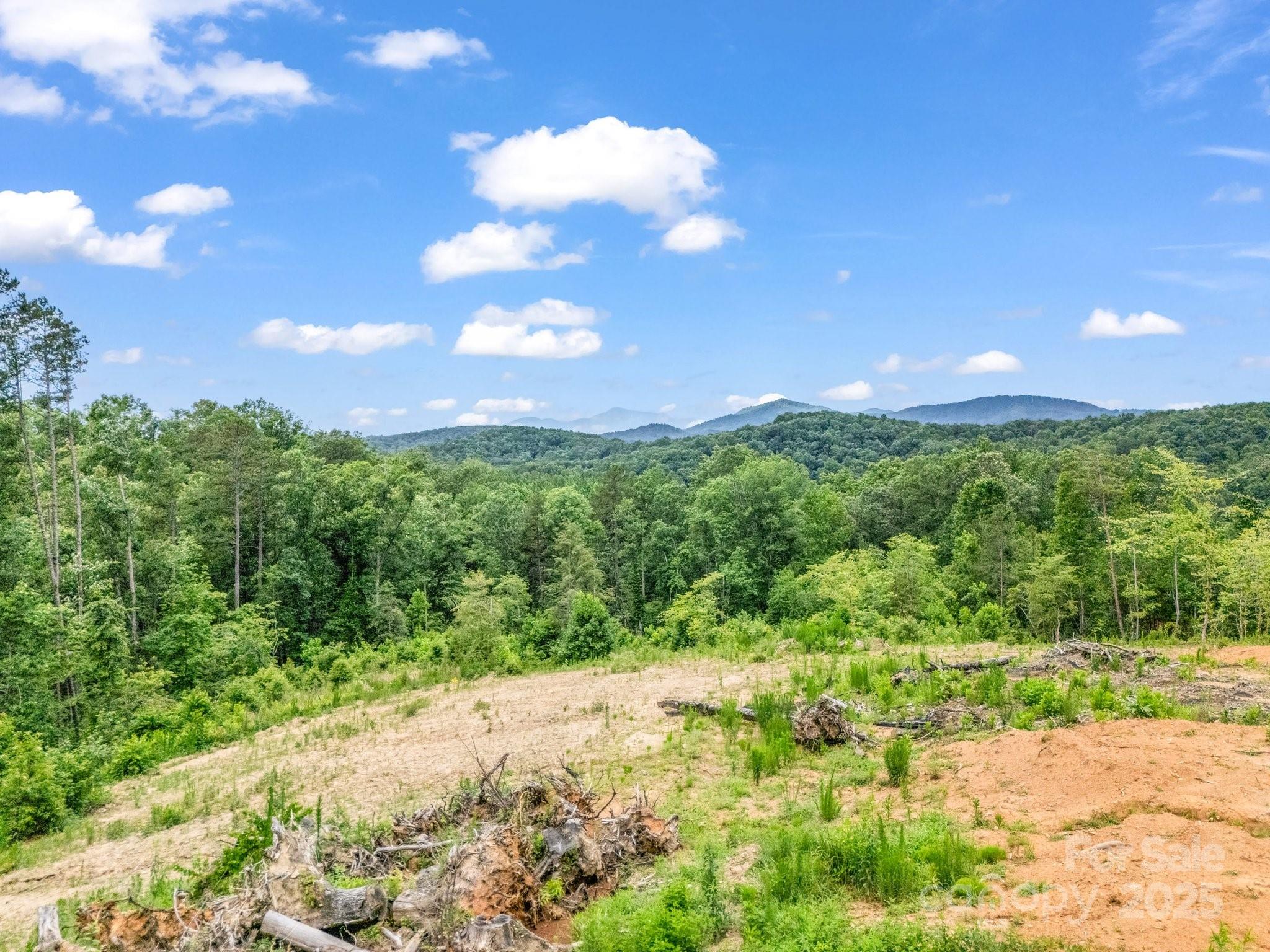 Ole Plantation - Land