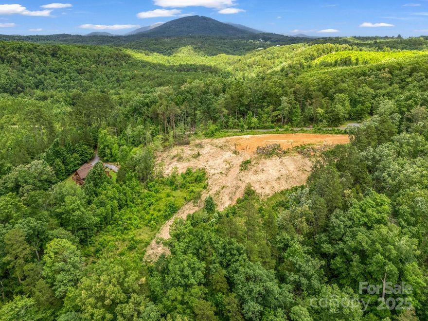 Looking for a great view in Western NC? With a perfect location offering an excellent cleared building site with level entry access and driveway potential for your future home, this land is prepped and primed for construction. Add in a nice creek at the bottom of the property for a nature walk on your own land! Whether you are considering a log cabin or a dream home, this lot provides a solid foundation for your vision. Mountain Views on a lot that has been cleared to take advantage of views and ease of access in a gated subdivision close to Lake Lure, Chimney Rock, Rutherfordton and all that the mountains of Western North Carolina have to offer! Imagine waking up each morning to great mountain views! Ole Plantation offers paved roads, a gated entrance, underground utilities and fiber optic available to experience the best of both worlds, allowing you to stay connected and enjoy the convenience of modern living without sacrificing the charm of rural life.