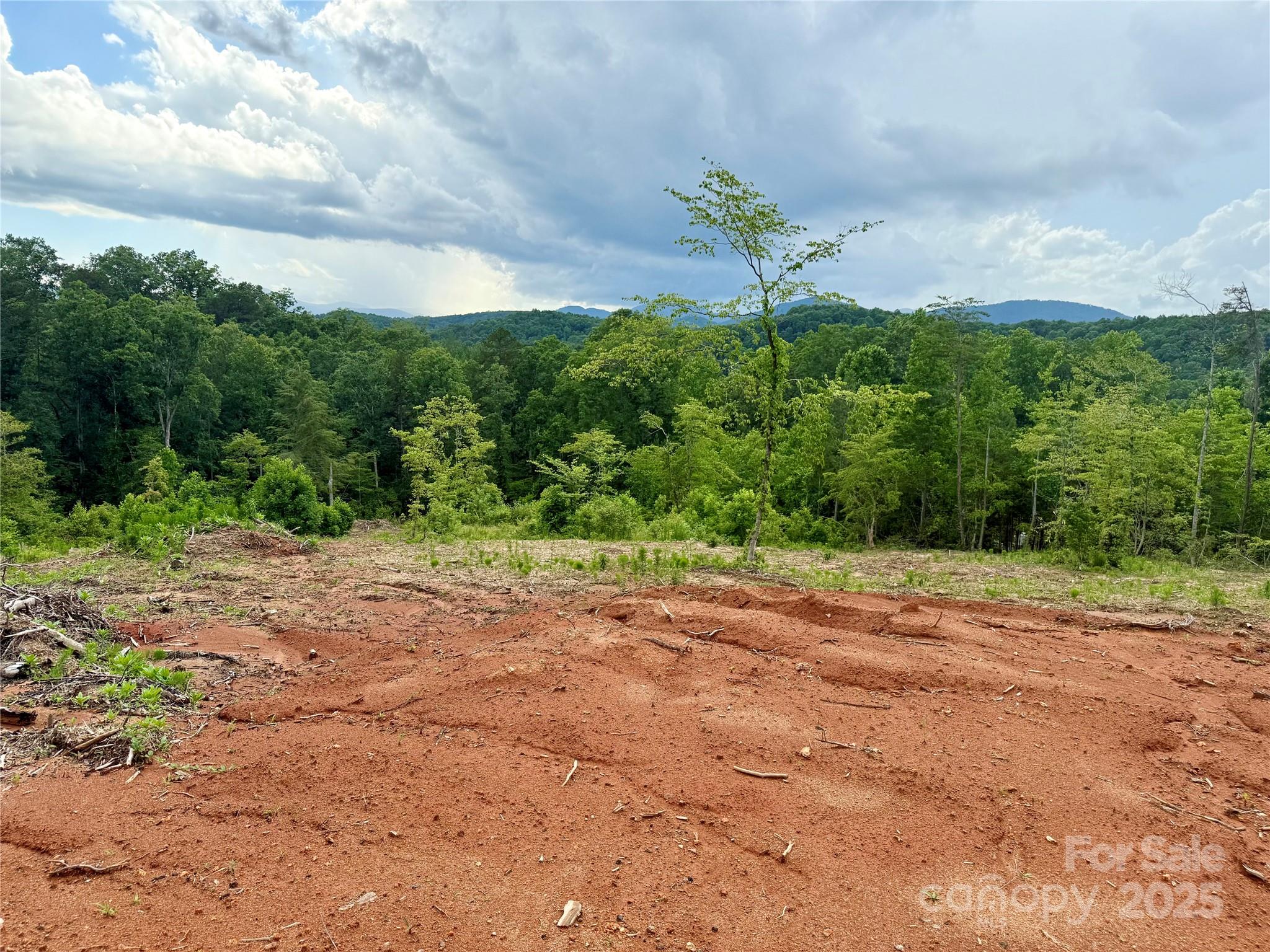 Ole Plantation - Land