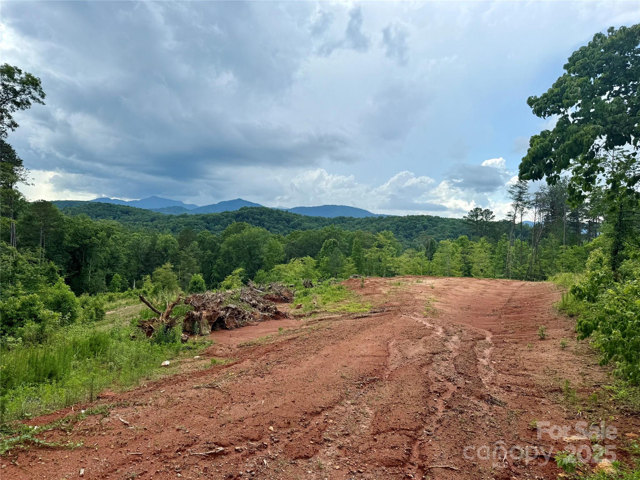 Ole Plantation - Land