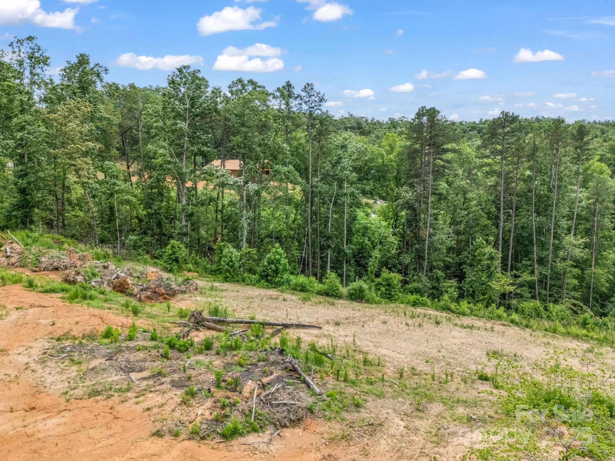 Ole Plantation - Land