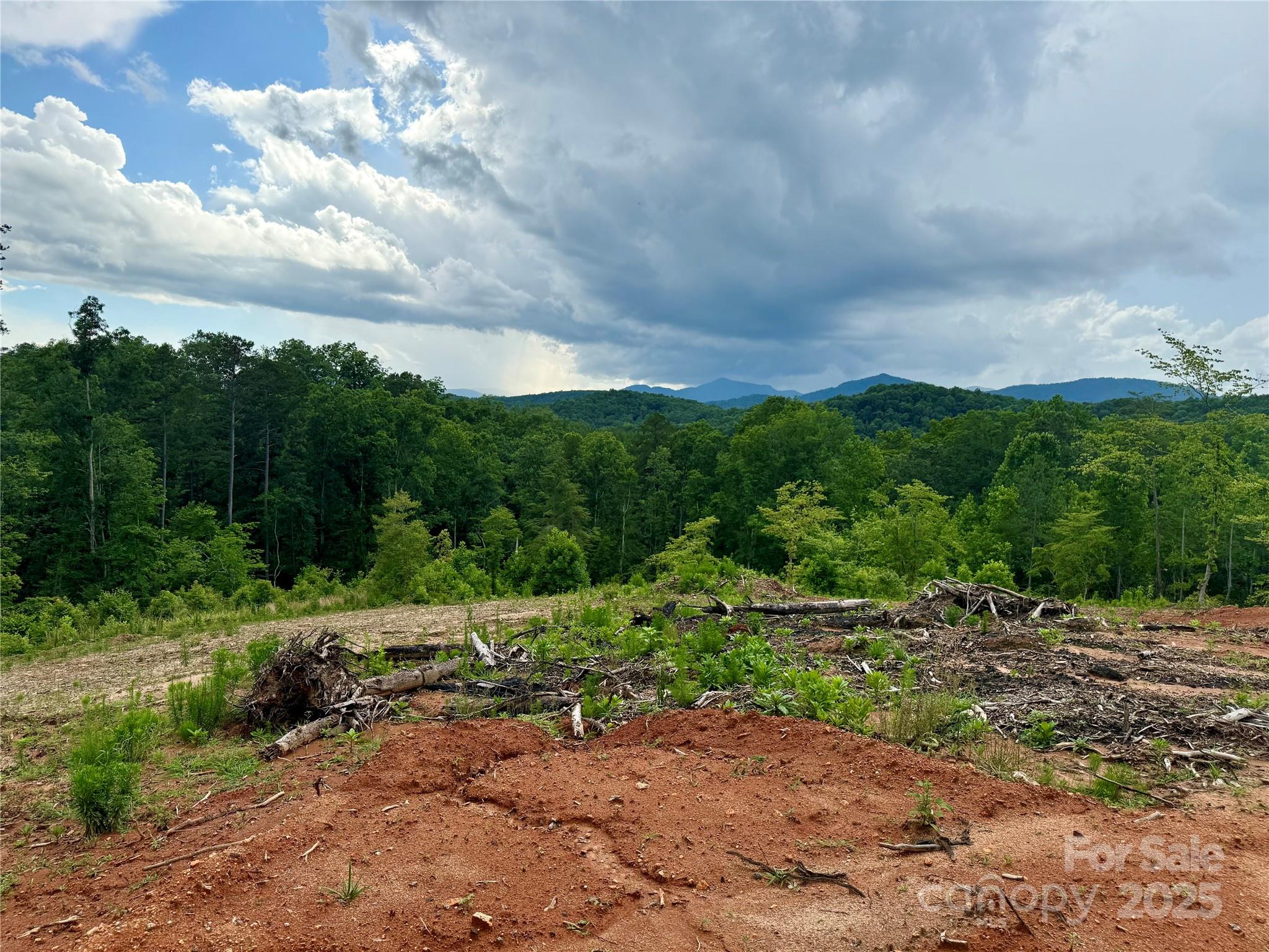 Ole Plantation - Land