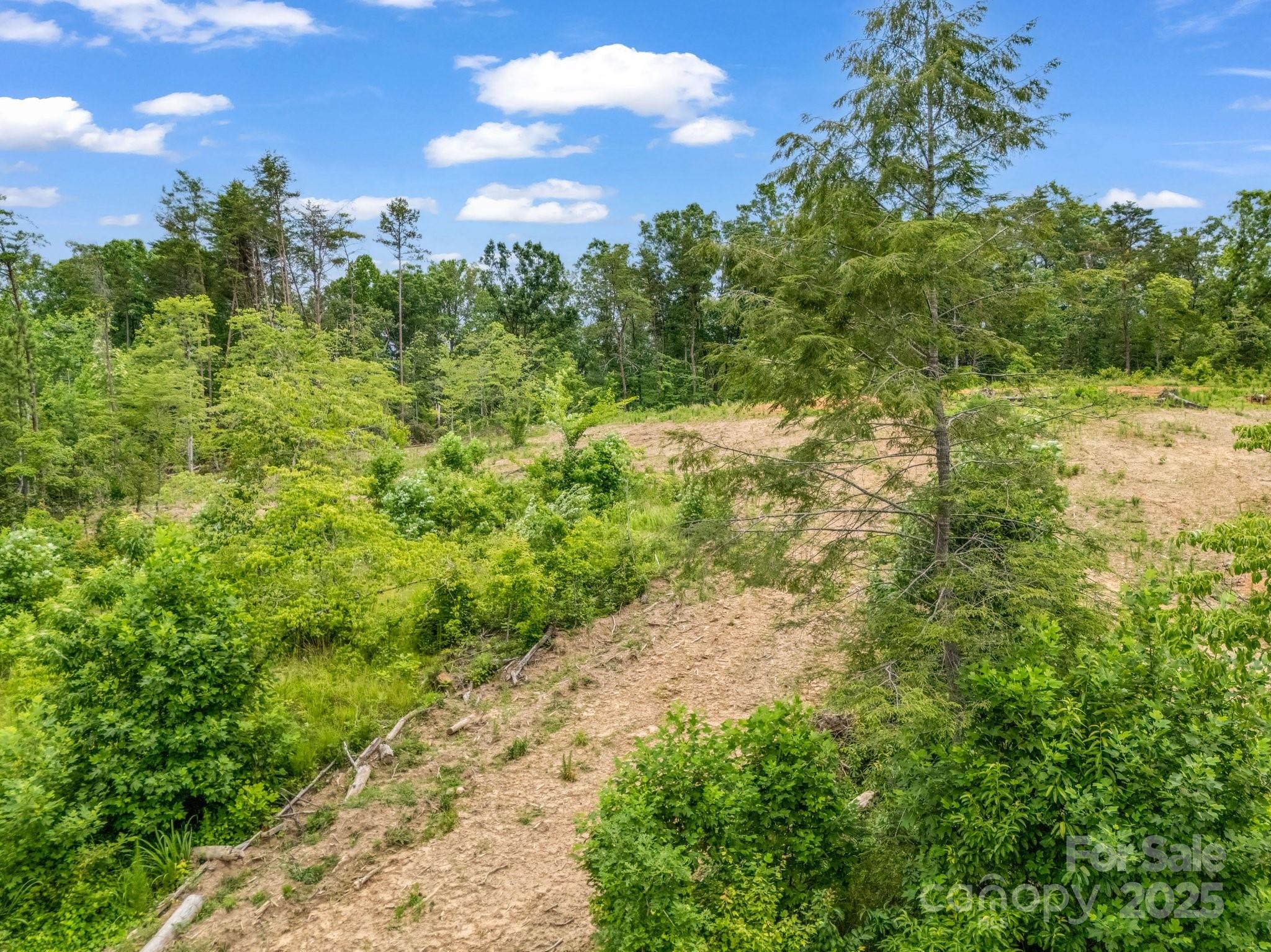 Ole Plantation - Land