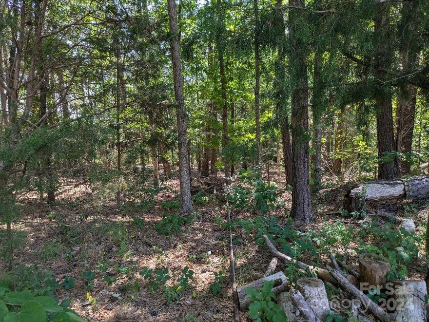 Looking for land in the Buford school district? Here it is! 5.78 wooded acres just waiting for your dream home. Zoned for manufactured, modular and stick built homes. Seller financing available. Come walk this property and envision your DREAM HOME!! Appointment required before walking.