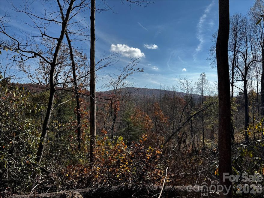 10 acre retreat located in McMillan Hidden Valley.  Multiple building sites feature mountain views, surrounded by pines, oaks, and mountain laurels. Existing trails and road beds invite hiking, exploration, and access.  The property is three platted lots, offering flexibility for a family homestead, vacation getaway, sub-development or investment. Nearby towns include Chimney Rock, Lake Lure, Hendersonville, and Asheville.  Enjoy the local vineyards, apple orchards, and mountain adventures. This property is ready to enjoy, build upon, or hold as a mountain investment.