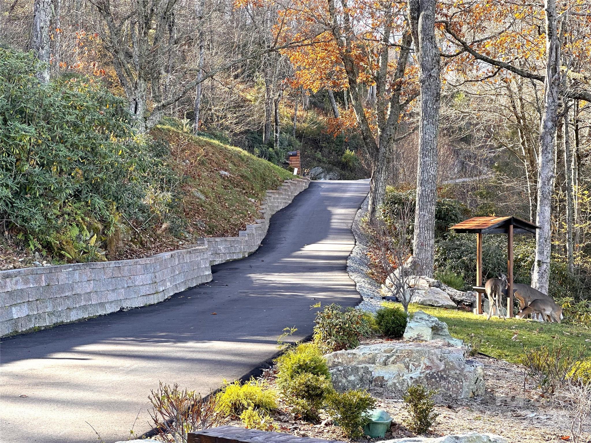 419 Antler Trail