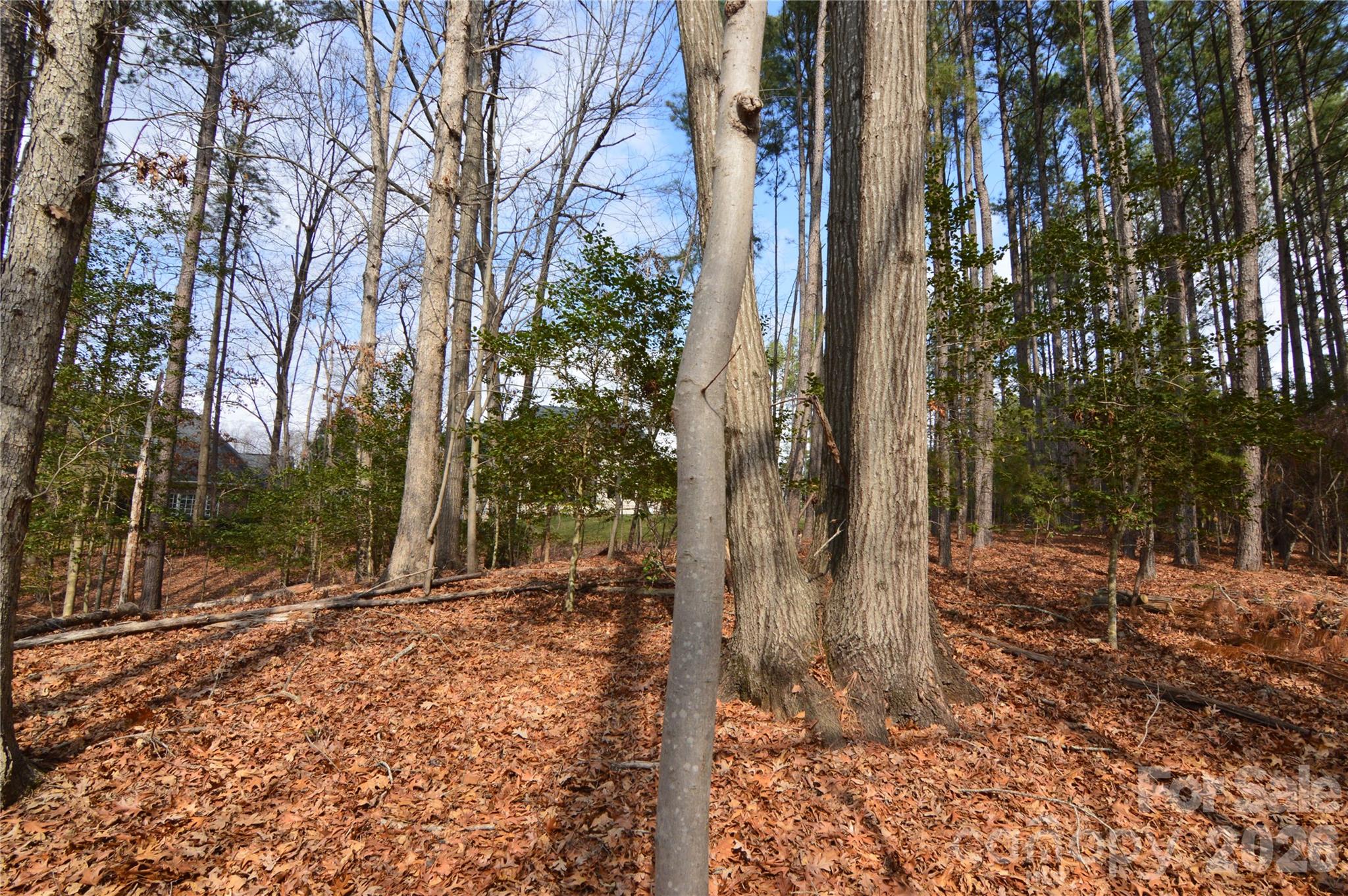 Reflection Pointe - Land