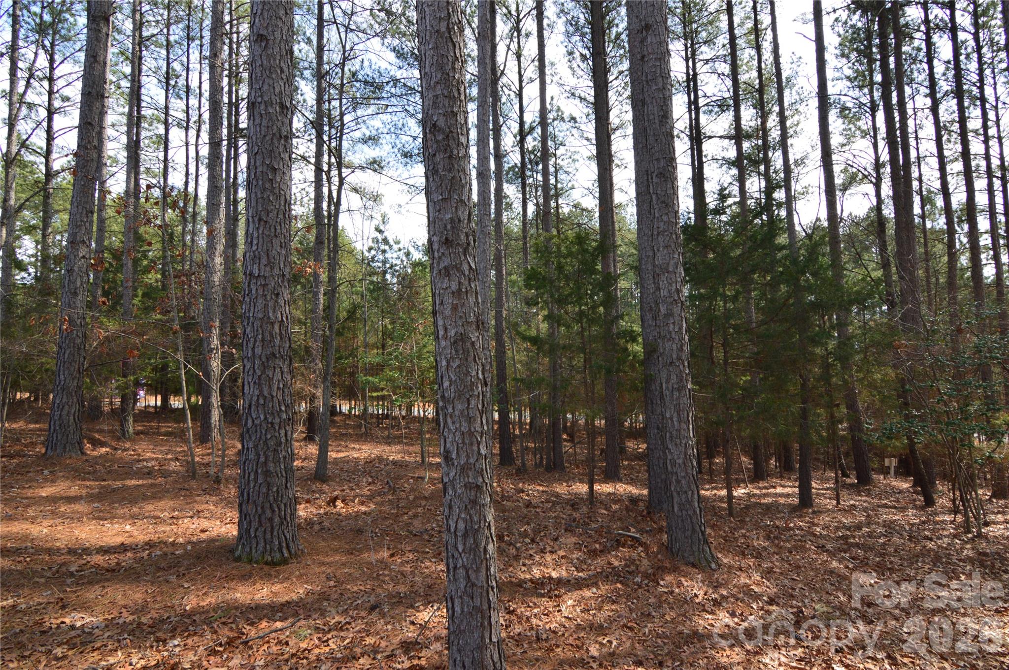 Reflection Pointe - Land