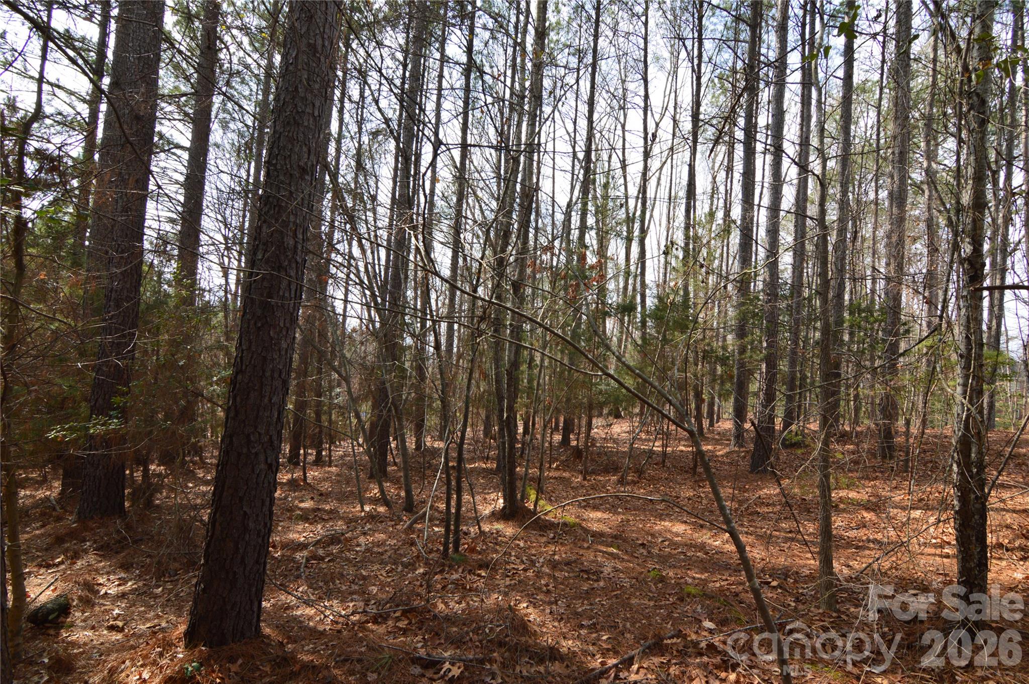 Reflection Pointe - Land