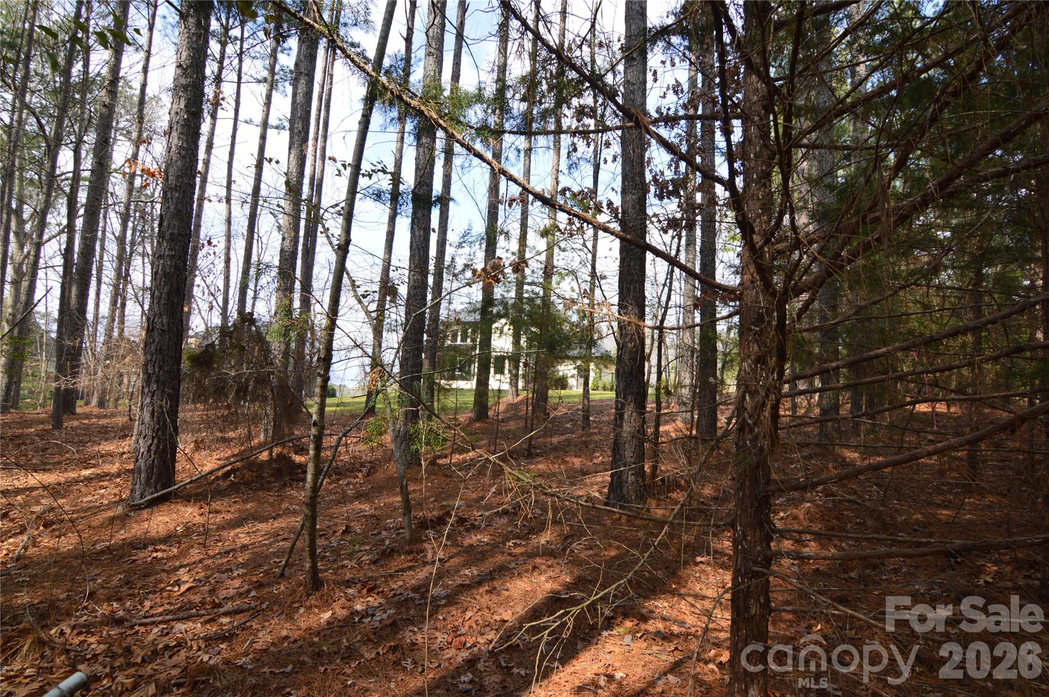 Reflection Pointe - Land