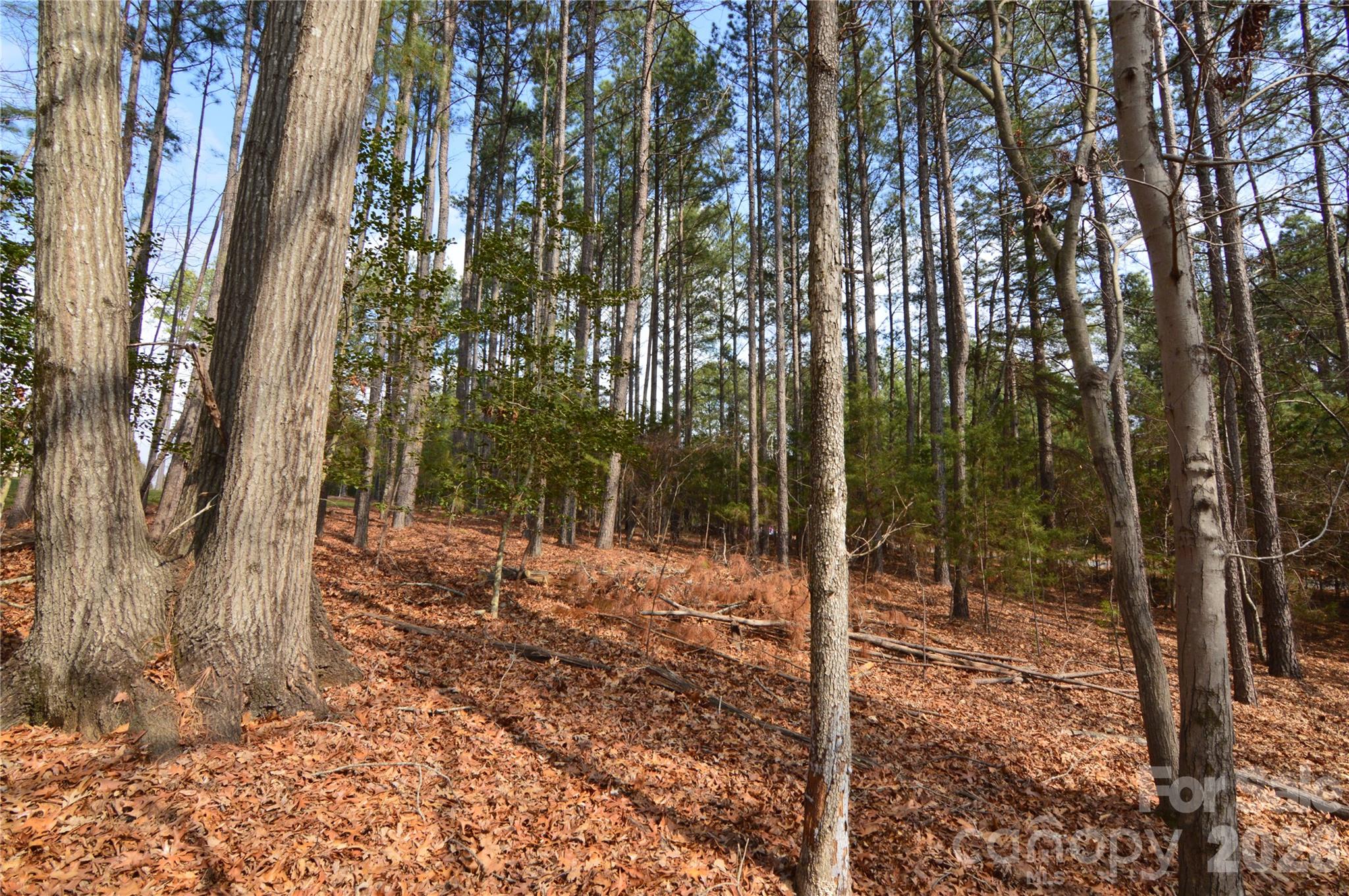 Reflection Pointe - Land