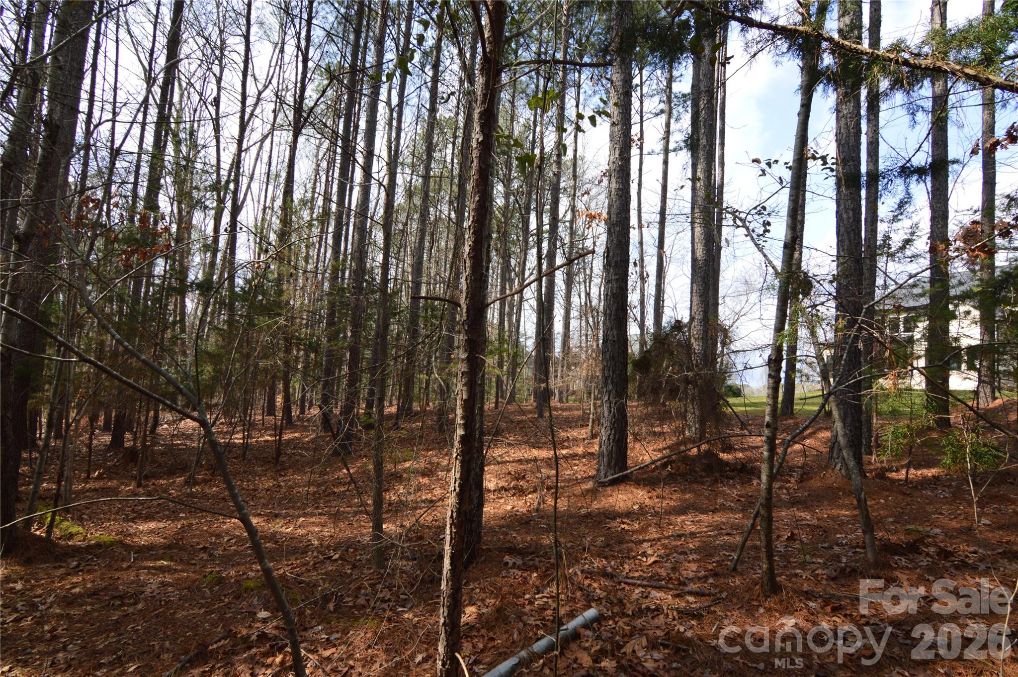 Reflection Pointe - Land