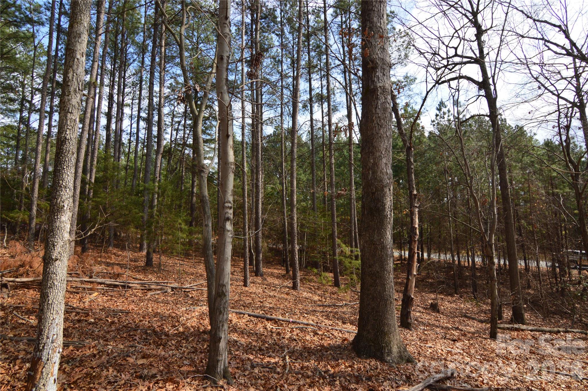 Reflection Pointe - Land