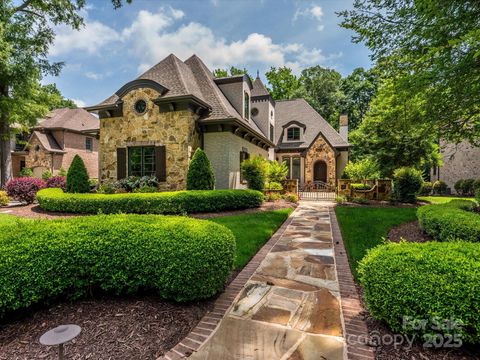 Photo of 9002 Pine Laurel Drive, Matthews, NC 28104 (MLS # 4297861)