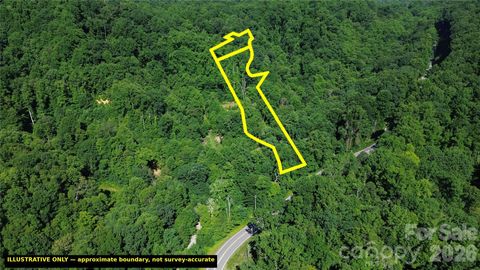 Photo of 99999 Morgan Hill Road, Black Mountain, NC 28711 (MLS # 4407476)