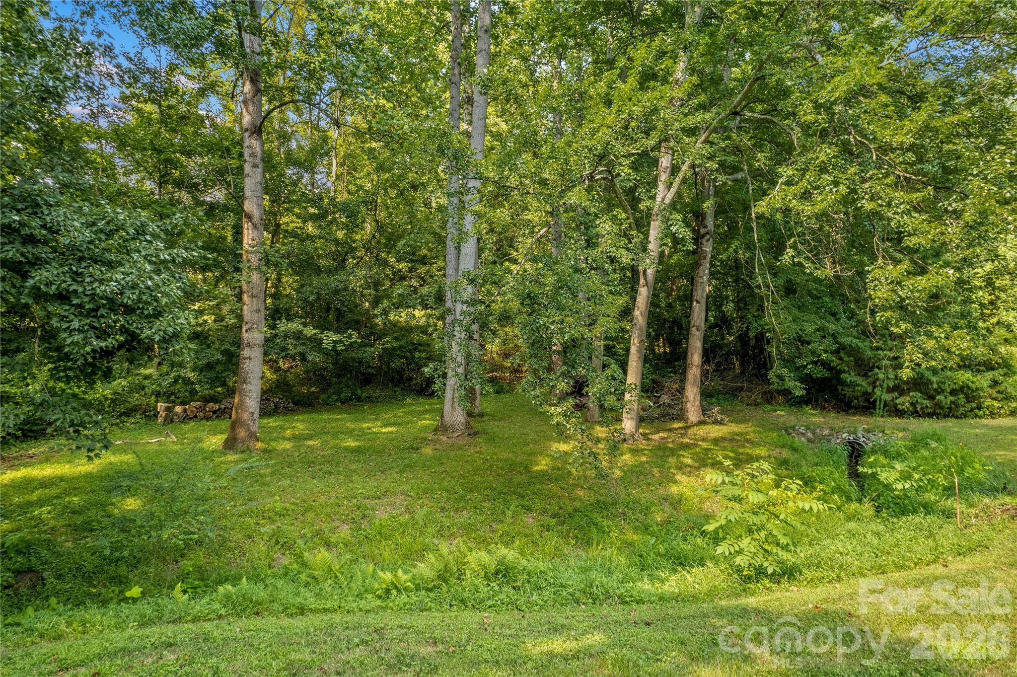 Spring Forest - Residential