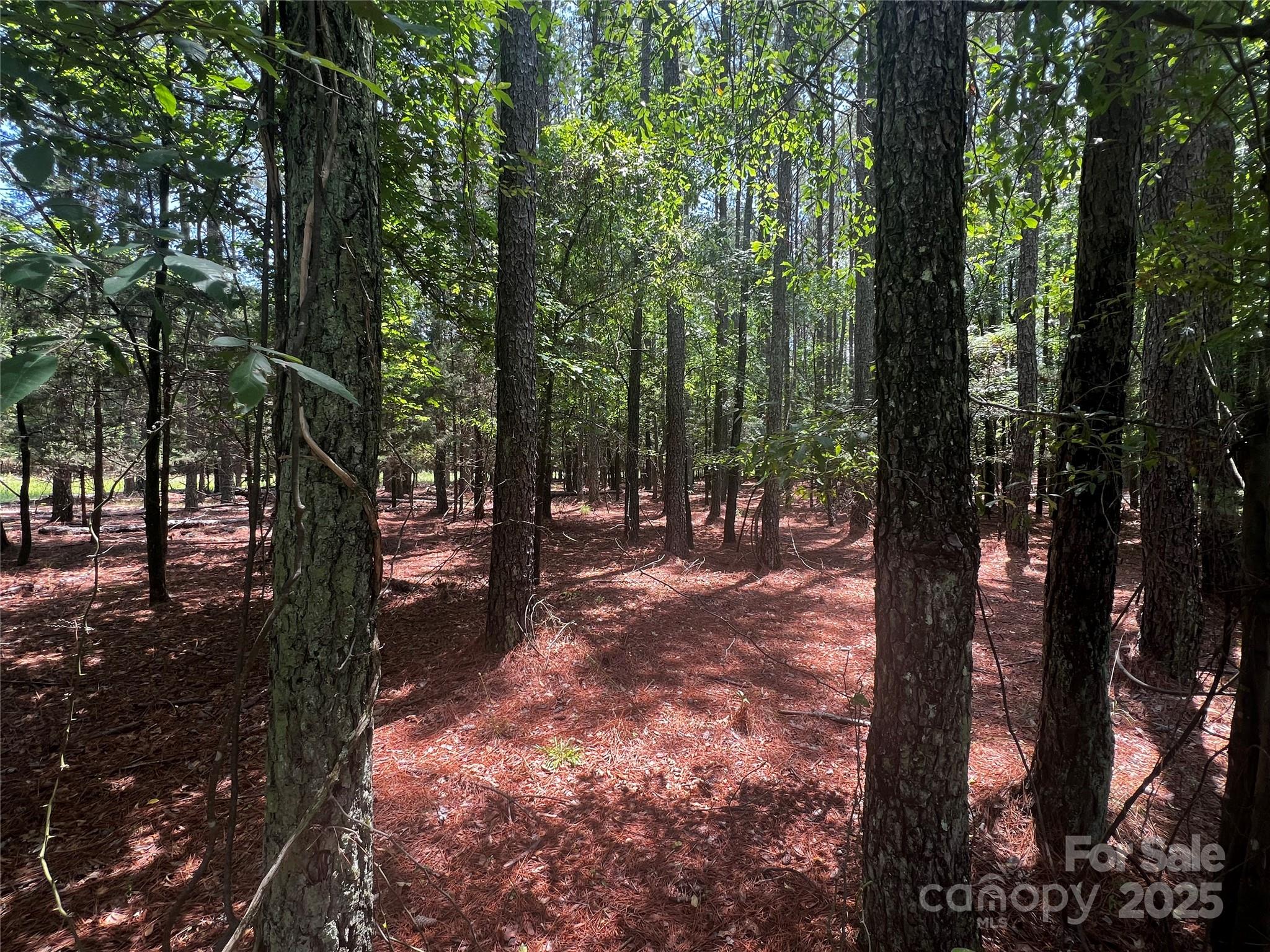 Lot B Sandlapper Drive B