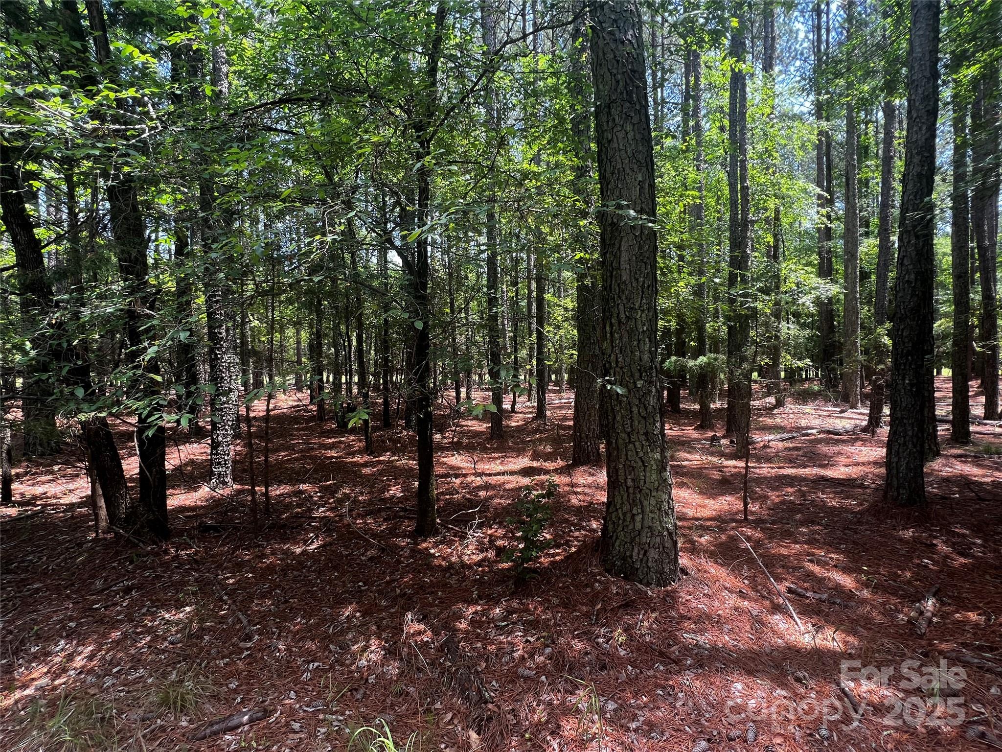 Lot B Sandlapper Drive B