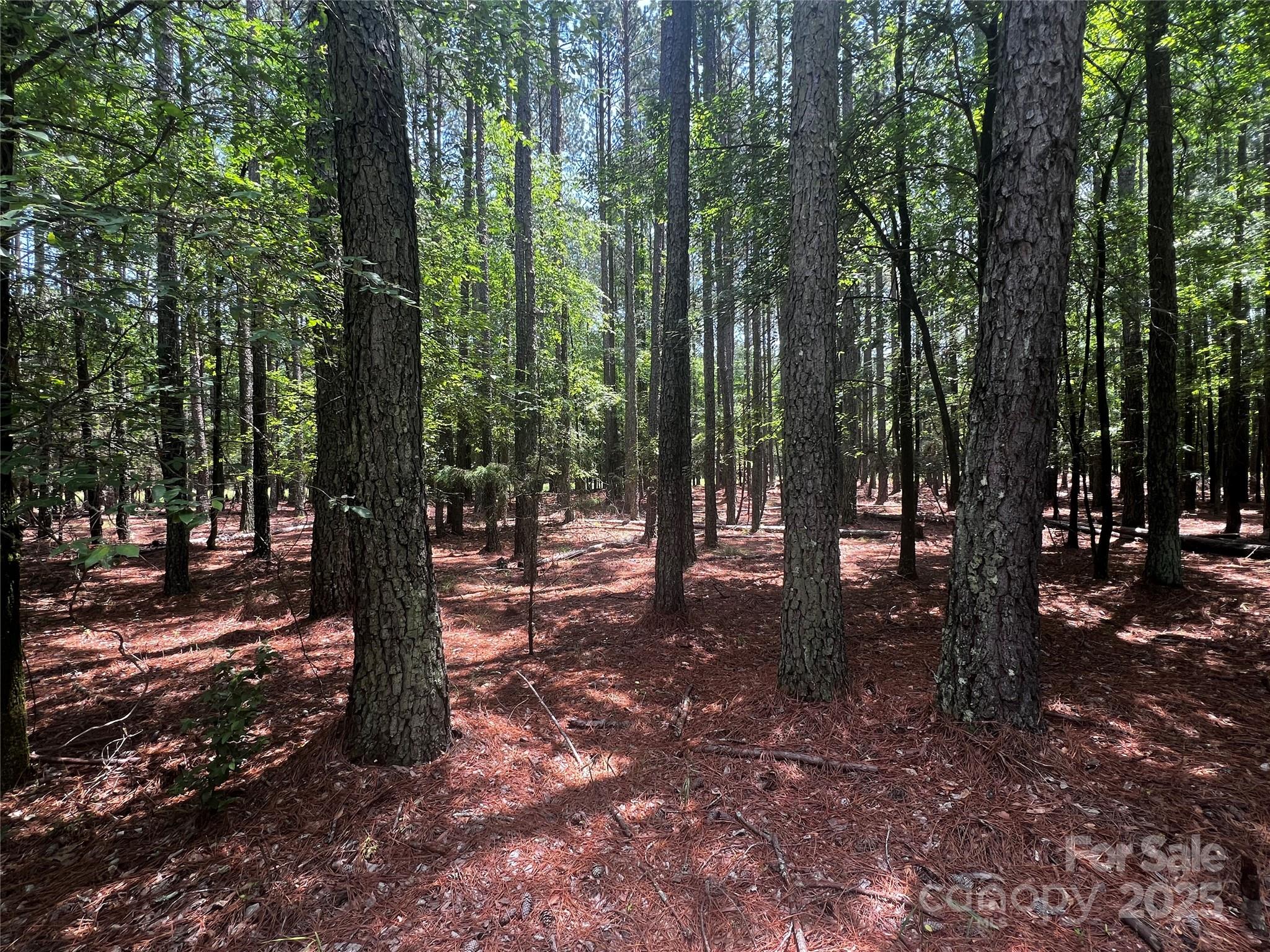 Lot B Sandlapper Drive B