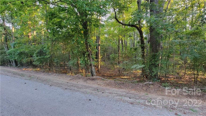 The opportunity to build your dream home on this well-sized lot is finally here! You are guaranteed privacy amongst the trees and can enjoy the quaint & quiet surroundings. The lot is sized to accommodate a 3 bedroom home, but can be upgraded to 4 bedrooms with the addition of 120 linear feet added to the drain field. Septic permit needed, but the permit to construct has been granted.
