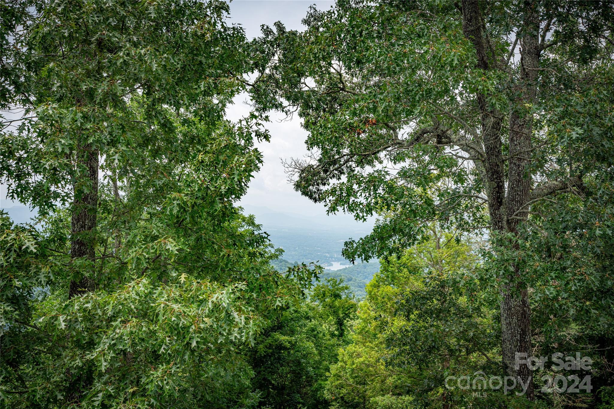 Asheville, North Carolina 28804, United States, 4 Bedrooms Bedrooms, ,5 BathroomsBathrooms,Residential,Active,47482