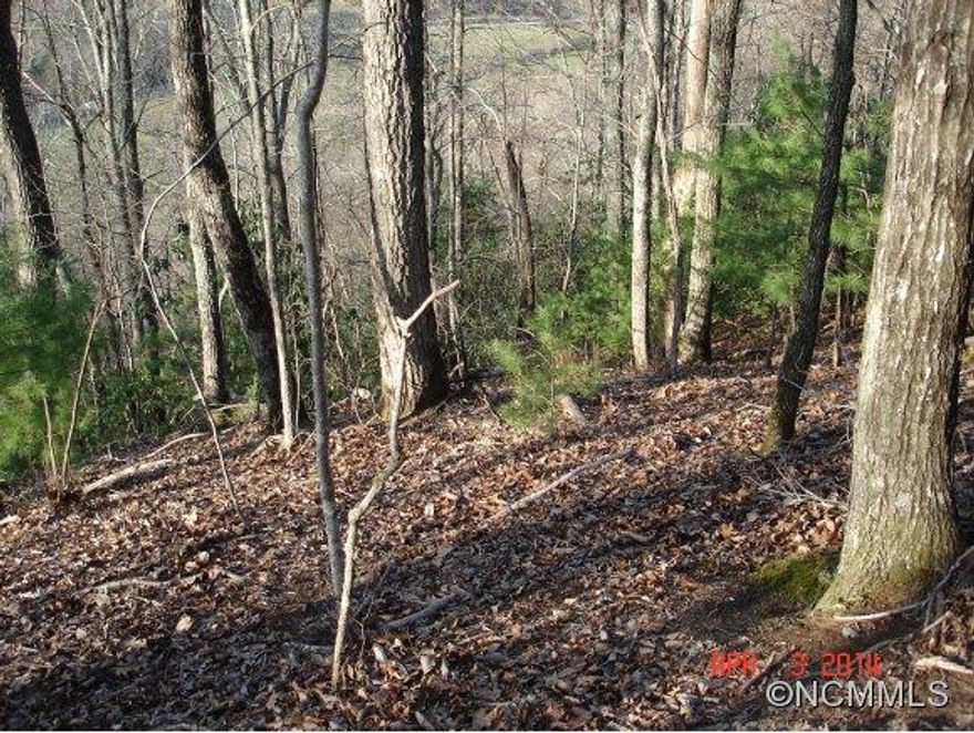 Property sits approximately 1/4 of a mile from Crab Creek Road on mountainside.  Potential for views with clearing. The property is sloped to steep.