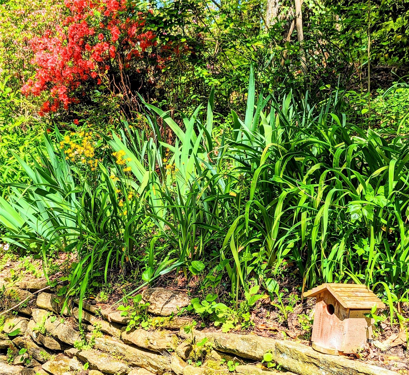 Brightwater East - Residential