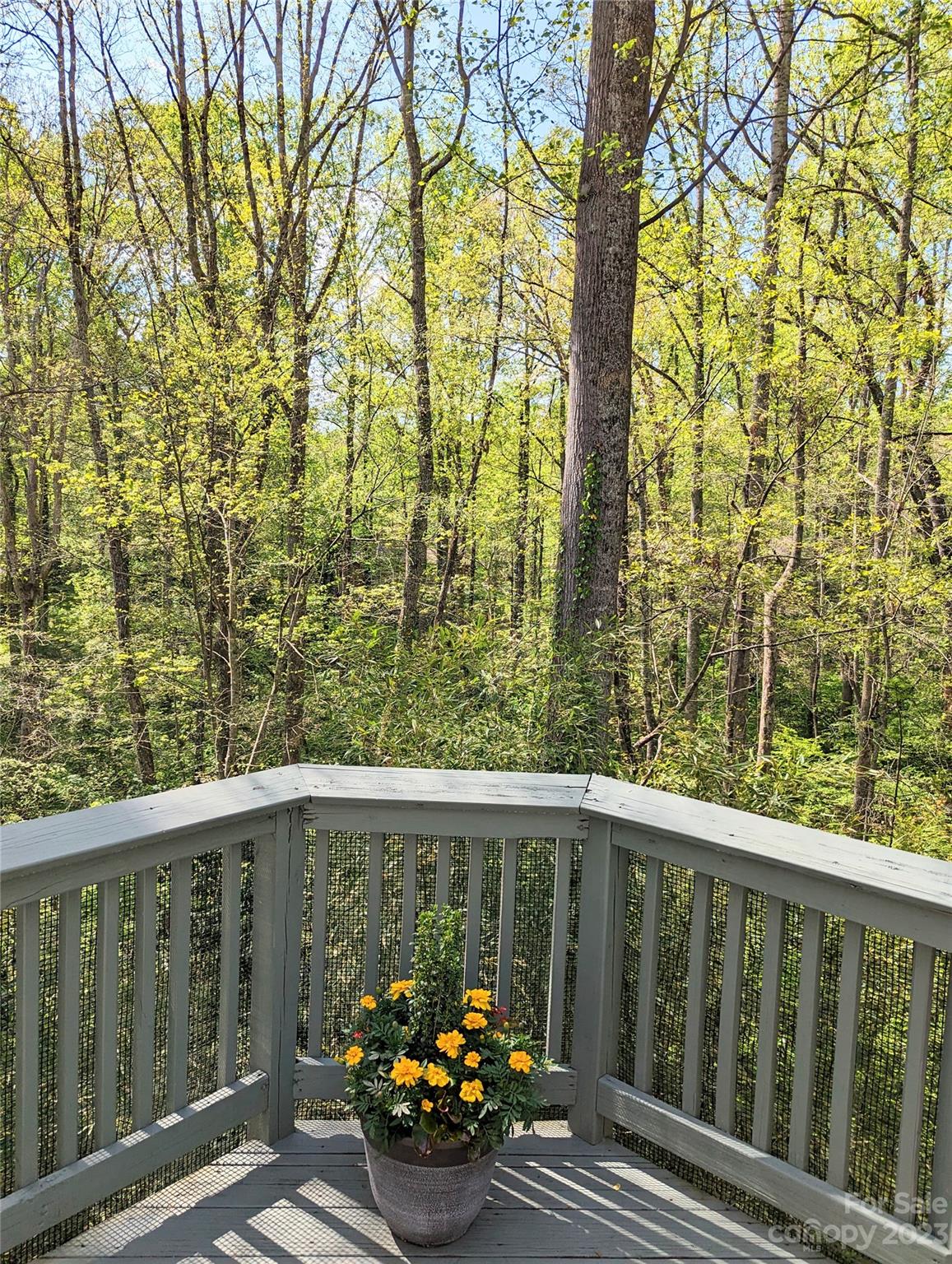 Brightwater East - Residential