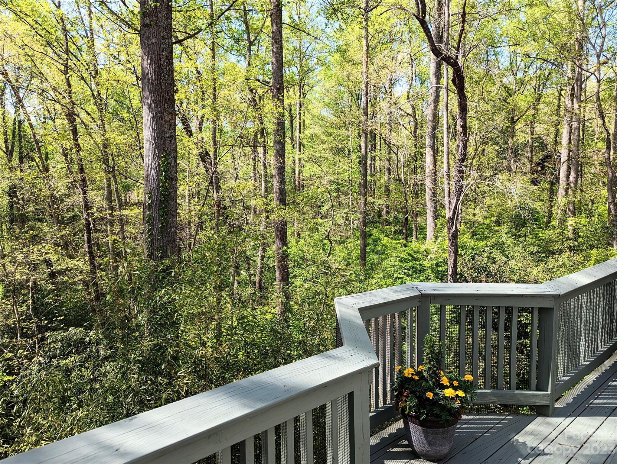 Brightwater East - Residential