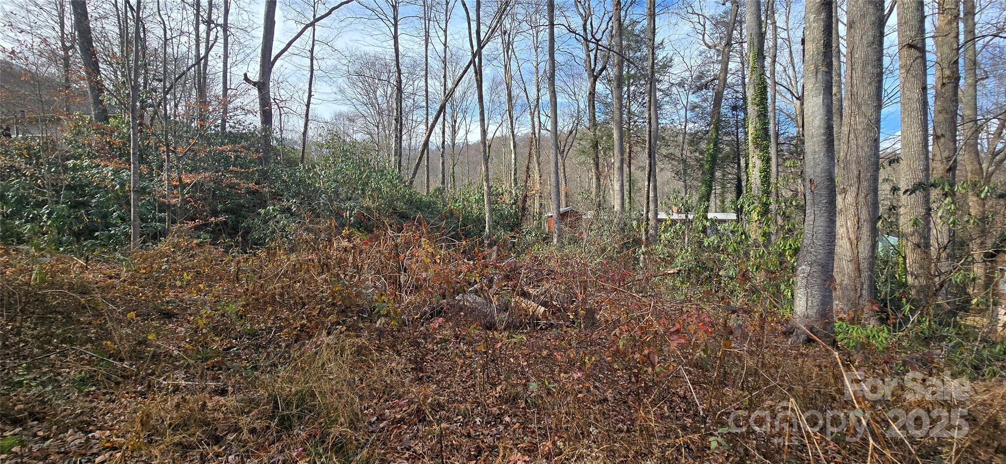 Twinbrooks Resort - Land