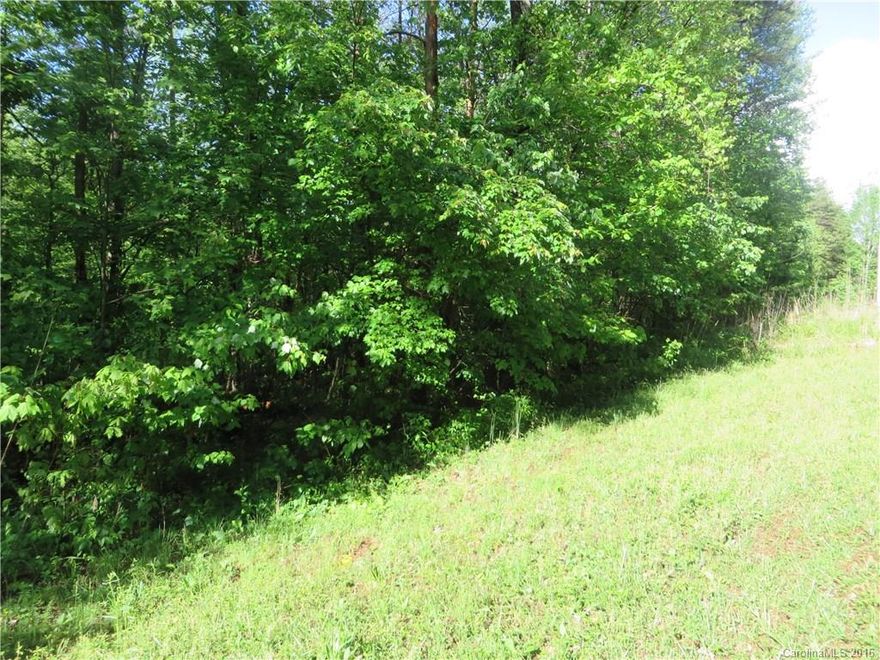There is a deeded easement to the property recorded in Book 256, Page 572, Alexander County Registry. In the past, this has been farmland. Some wetlands. Energy United hookup may be available at the road. Buyer will have to put own road in.  Seller has currently had it surveyed.