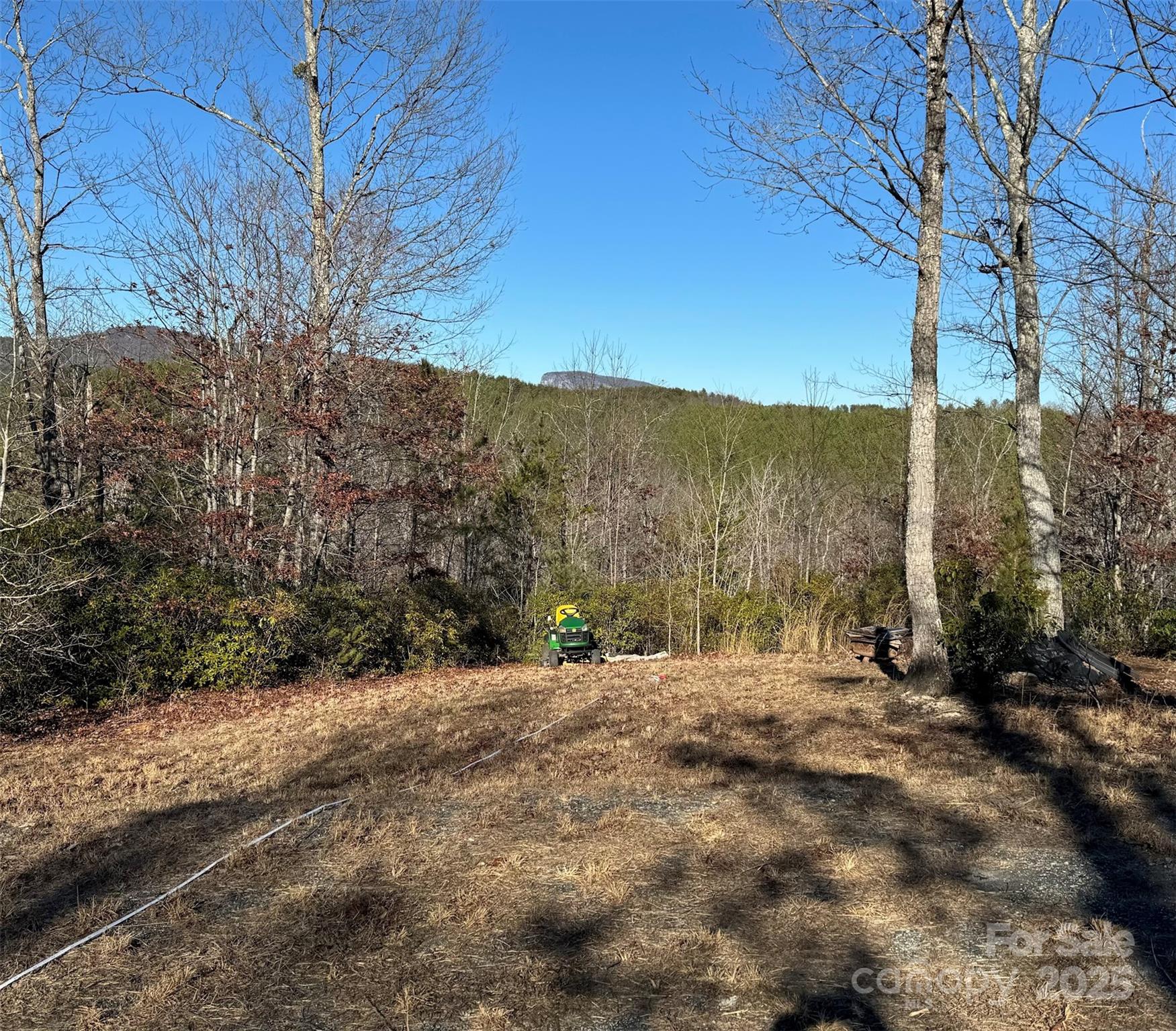 284 Bear Cliff Circle 53