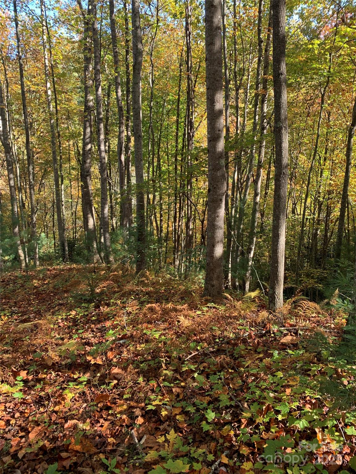 Lot# 556 Timber Rock Drive 556