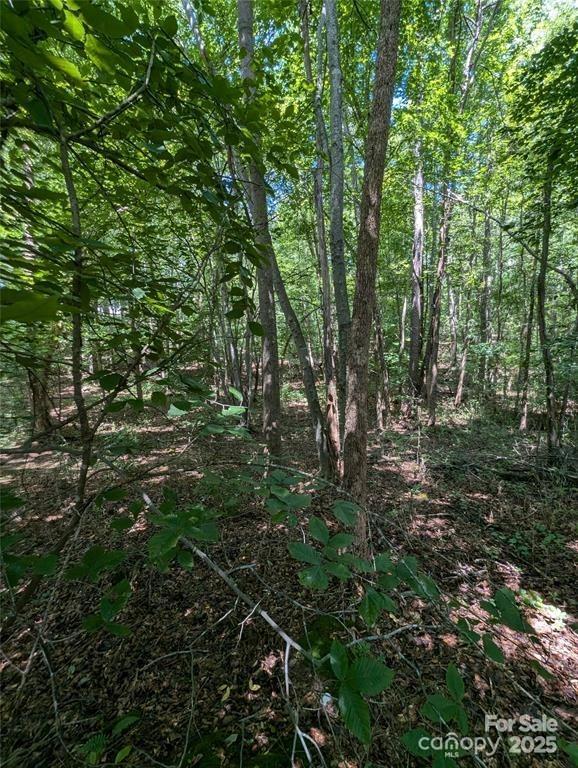 Lake Norman Woods - Land