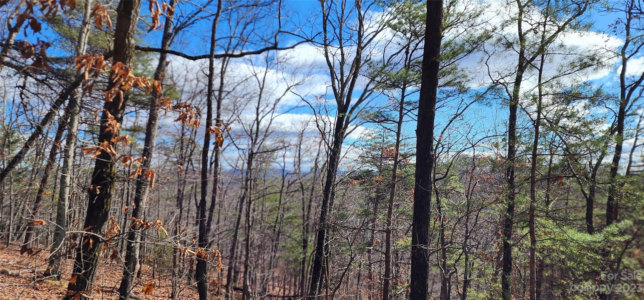 Pinnacle Ridge - Land