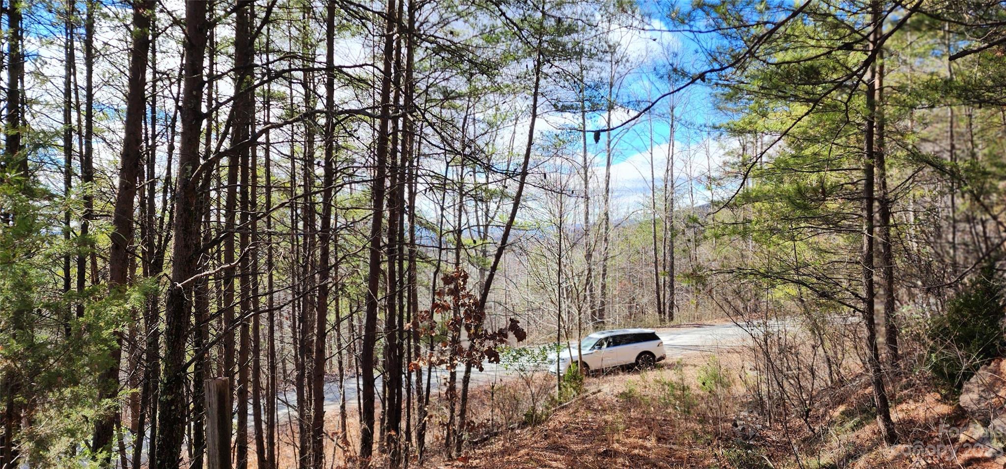 Pinnacle Ridge - Land