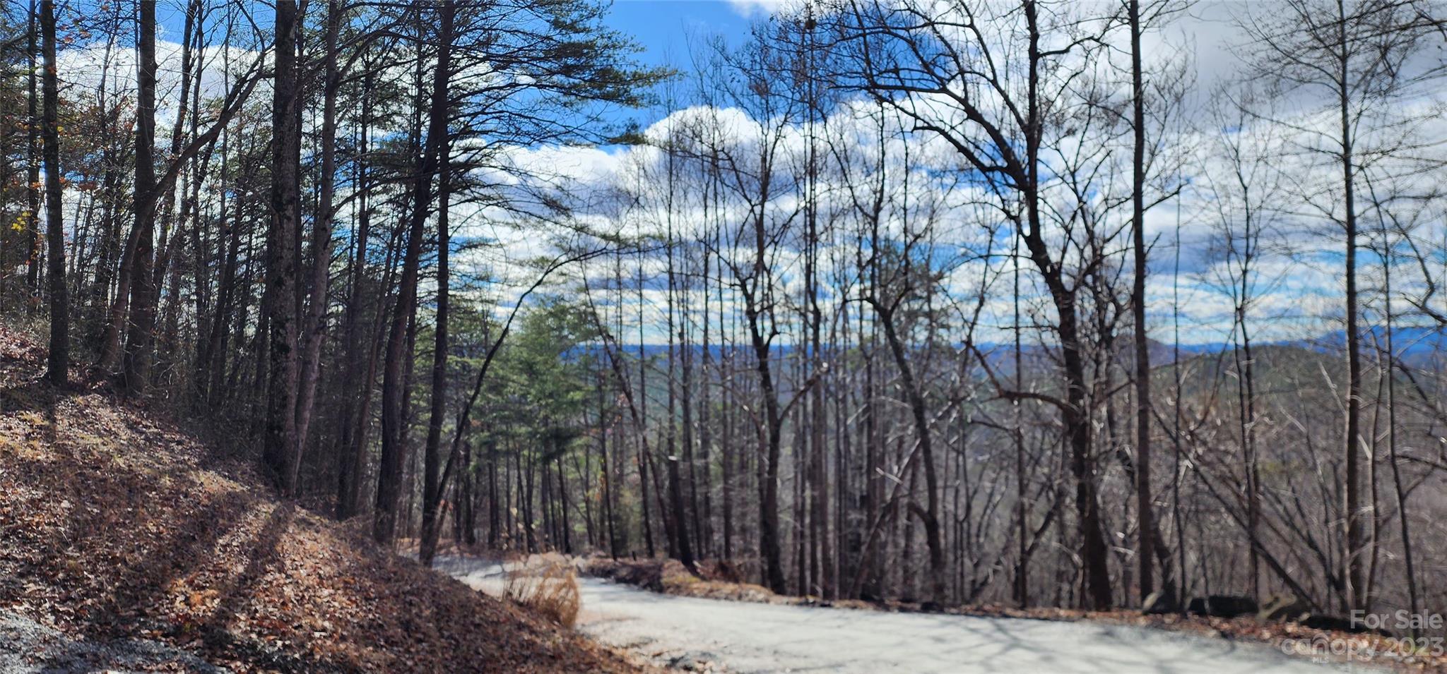 Pinnacle Ridge - Land