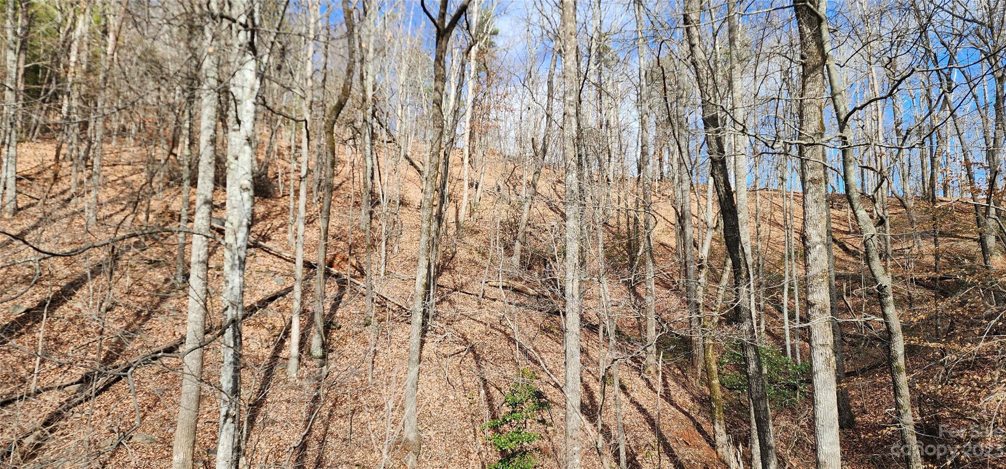 Pinnacle Ridge - Land