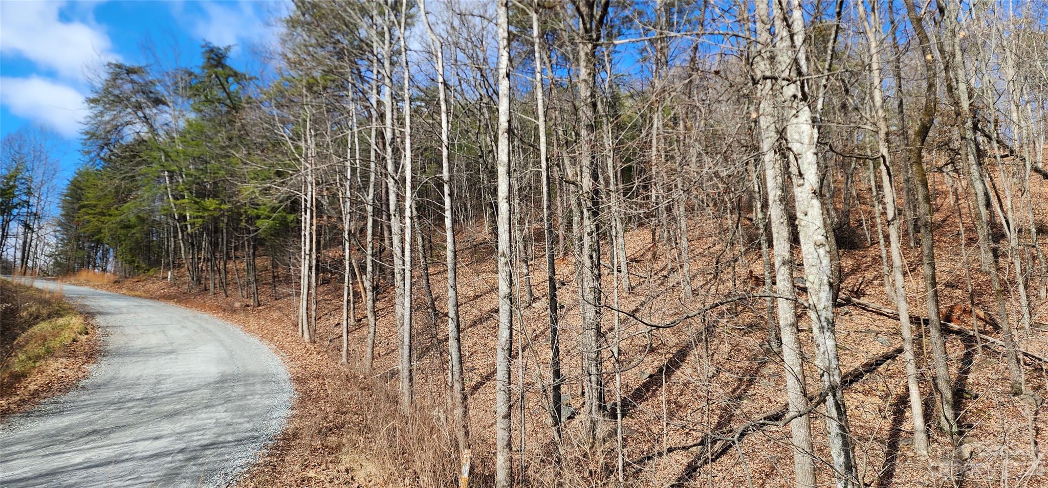 Pinnacle Ridge - Land