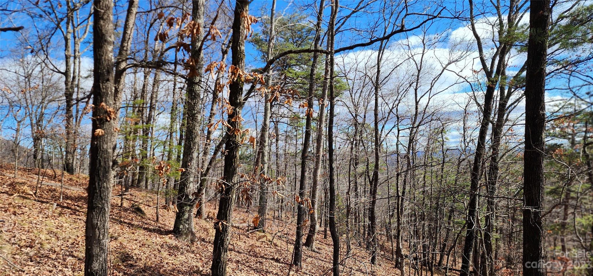 Pinnacle Ridge - Land