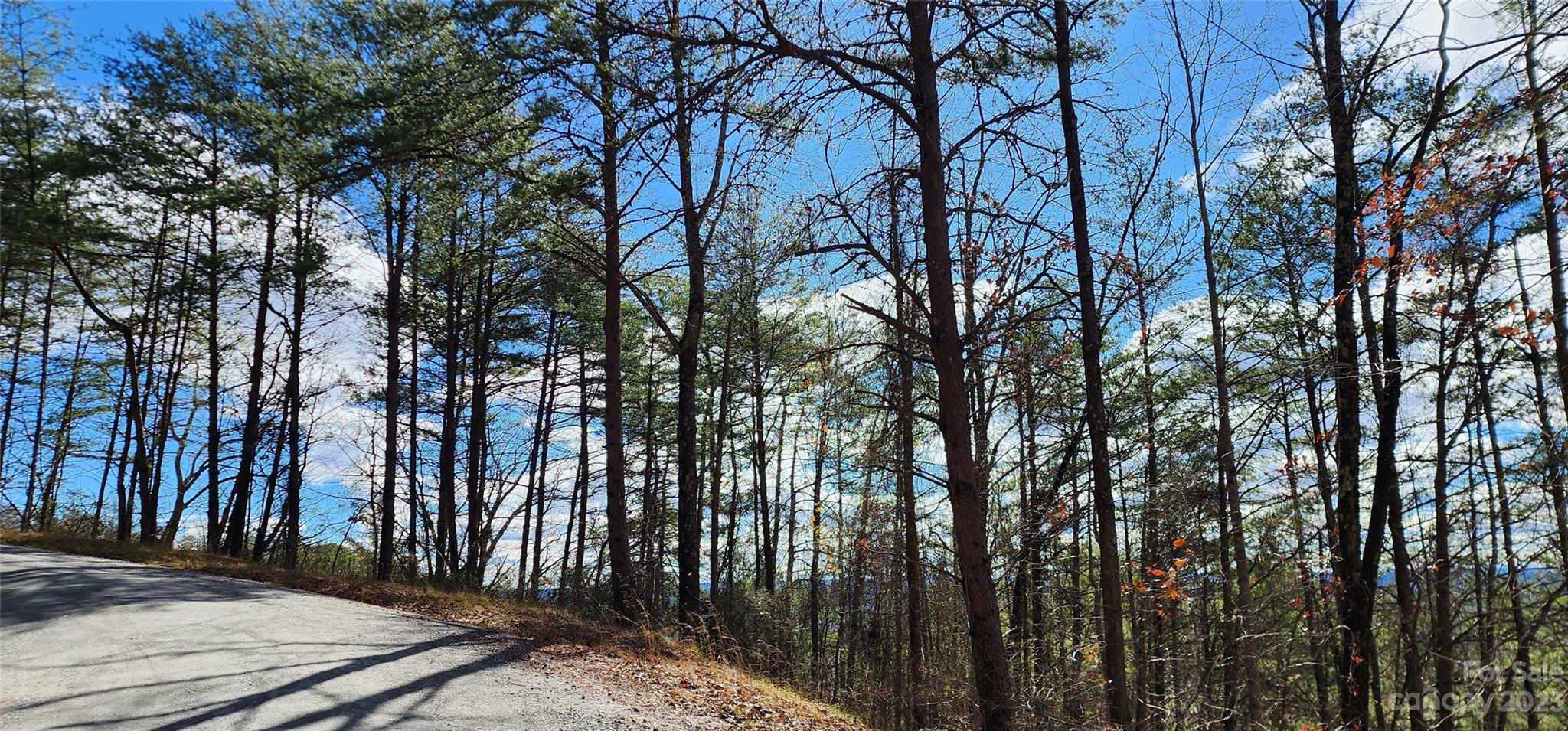 Pinnacle Ridge - Land