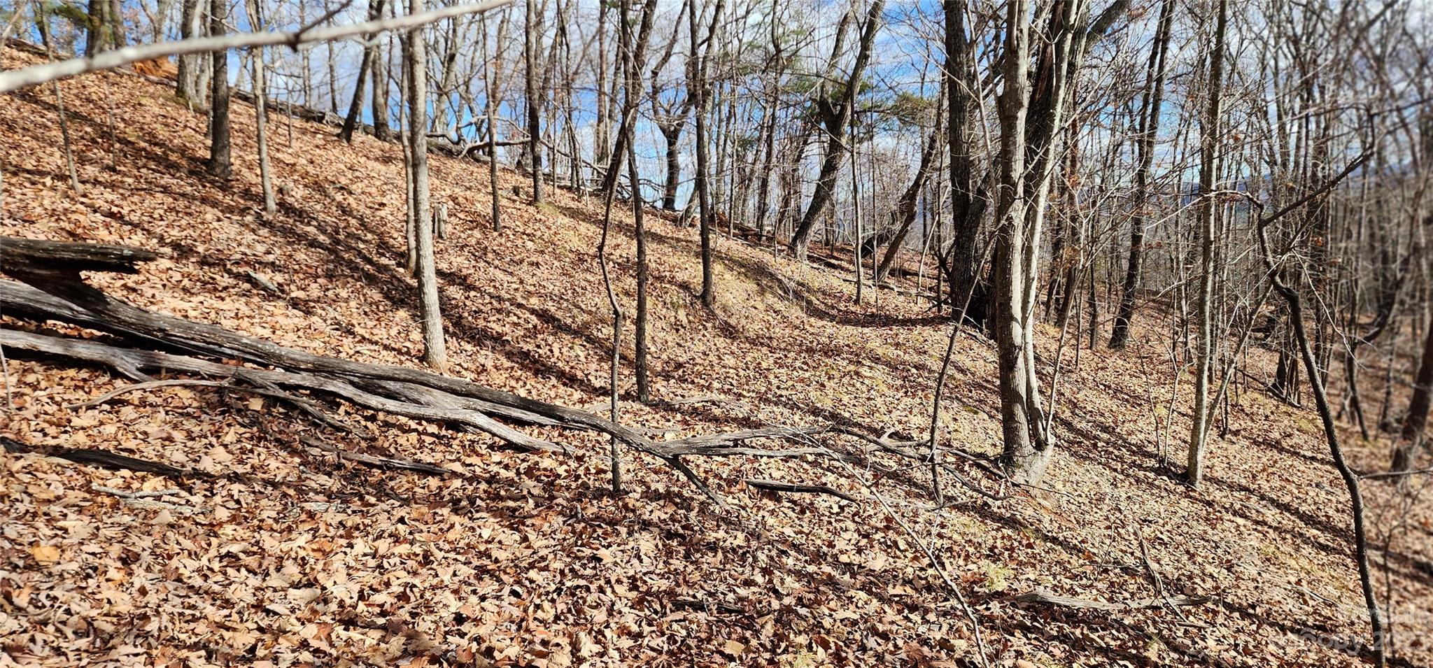 Pinnacle Ridge - Land